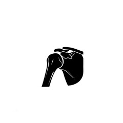 Human Shoulder Anatomy Illustration