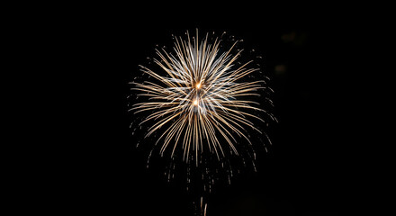 Golden firework explosion in dark night sky for celebration background