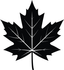 Minimalist Maple Leaf Silhouette Vector Solid Black