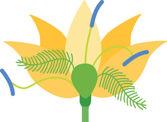 Flower Anatomy Diagram Vector Illustration Yellow Petals Green Pistil Stamen Biology Education