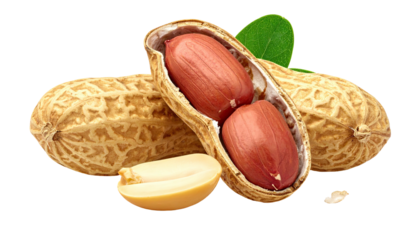 Close-up of peanuts, some in the shell, with a leaf