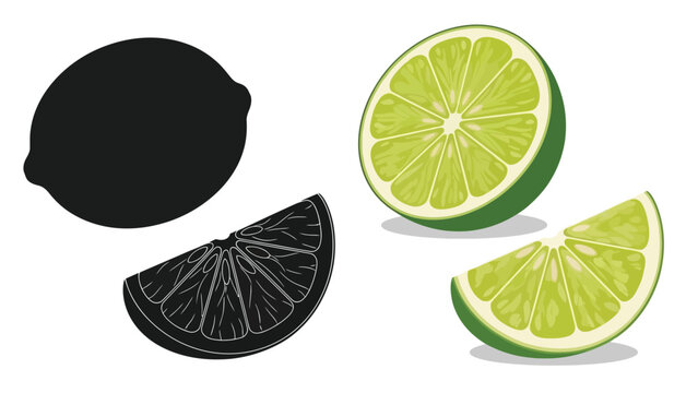 Illustrative representation of limes whole half slice and a silhouette
