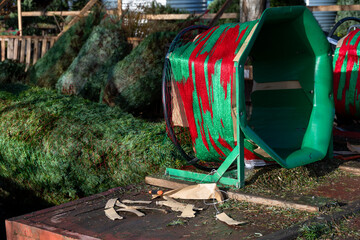 Fresh cut fir Christmas tree in a tree baler machine to package the tree in red and green netting for transportation home, festive holiday background
