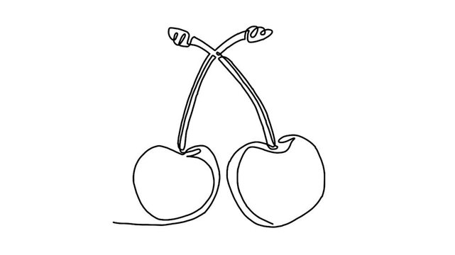 continuous line animation of cherry fruits