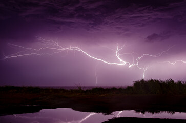 Rel&acirc;mpago Purpura 