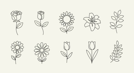 Botanical Line Art - Elegant Floral Illustrations for Design Projects.