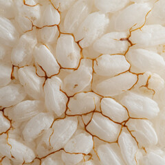 Close-up image of polished rice grains with vibrant textures. or transparent background