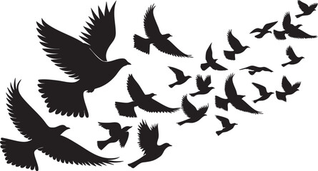 Fototapeta premium Flowing Birds in Flight Black Vector Silhouette with Elegant Abstract Motion