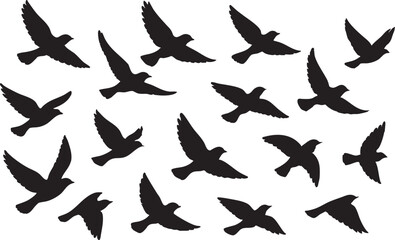 Fototapeta premium Flowing Birds in Flight Black Vector Silhouette with Elegant Abstract Motion