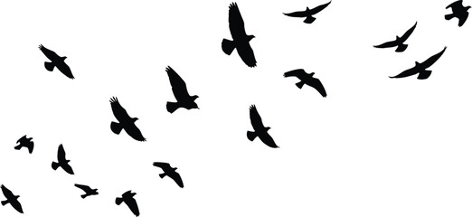 Silhouettes of birds flying across a bright