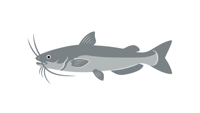 Illustrative depiction of a freshwater catfish swimming gracefully, showcasing its distinctive barbels and sleek body, an aquatic creature icon
