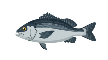 Detailed graphic illustration of a freshwater or saltwater fish swimming gracefully in its aquatic habitat. This vibrant aquatic creature design is