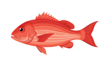 Fototapeta premium Vibrant red ocean fish swimming left a beautiful marine animal illustration perfect for various aquatic themed designs and educational content