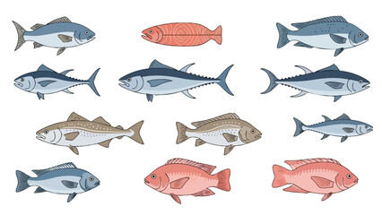 A vibrant collection of stylized fish illustrations, showcasing diverse aquatic species in a hand-drawn graphic style, ideal for educational biology