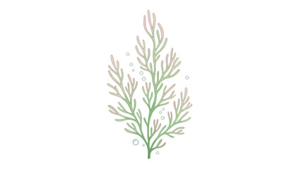 Fototapeta premium Elegant watercolor illustration of delicate seaweed with small bubbles, evoking an underwater serene atmosphere for design