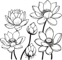Vector lotus flower. Floral botanical flower. Isolated illustration element. Water lily outline vector illustration for yoga studio, spa, zen center. Lotus flower in continuous line drawing style.
