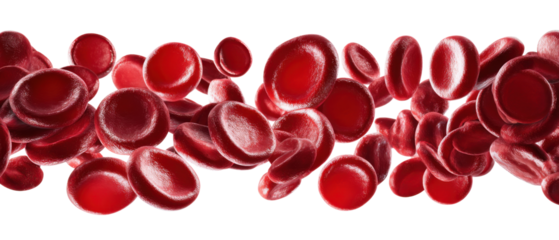 Red Blood Cells: An intricate, close-up view unveils countless red blood cells, their distinctive biconcave discs highlighted, symbolizing the essence of life and health.