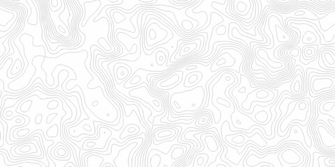 Minimal spiral wire frame topology contour map relief grid map. vector white topography map area landscape discovery texture design. © Murshid123