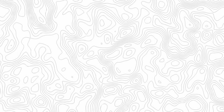 Minimal spiral wire frame topology contour map relief grid map. vector white topography map area landscape discovery texture design.