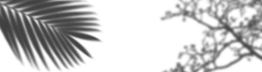 Abstract shadow play