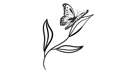 black and white flowers