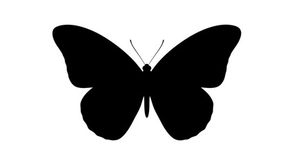 A bold black silhouette of a butterfly against a stark white background, showcasing its delicate wings in a classic pose