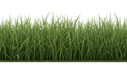 Lush Dense Green Grass Border, isolated on a transparent background, vibrant natural element.