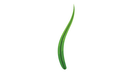 Fototapeta premium Vibrant solitary green blade illustrating natural elegance and organic simplicity for modern design projects and eco-friendly themes a fresh