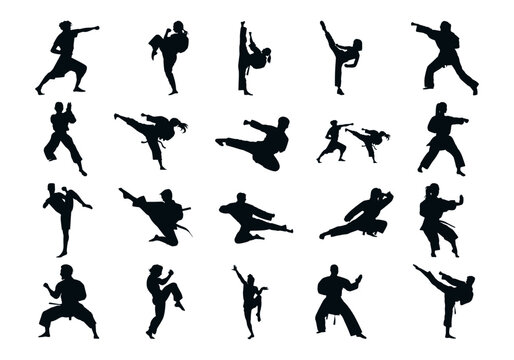 Martial Arts Silhouette Vector Element