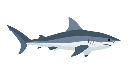 Fototapeta premium Stylized illustration of a powerful predatory shark depicted in a sleek, modern artistic style against a clean white backdrop