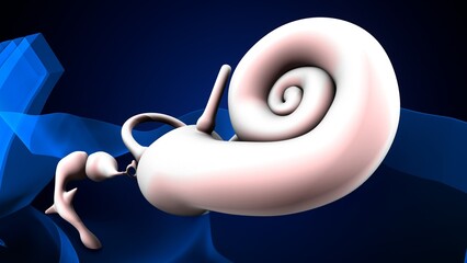 Ear drum anatomy with blue ear part. 3d render © PIC4U
