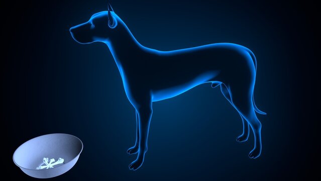 Dog salivation in blue background anatomy. 3d illustrations