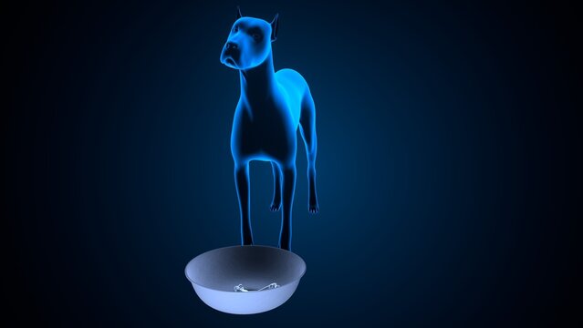 Dog salivation in blue background anatomy. 3d illustrations