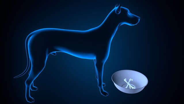 Dog salivation in blue background anatomy. 3d illustrations
