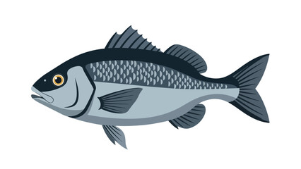 Obraz premium Stylized Illustration of a Freshwater Fish with Detailed Scales and Fins on a White Background
