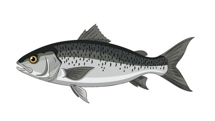 Obraz premium Stylized illustration of a sleek, silver-scaled fish with intricate fin details against a pristine white background