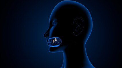 Obraz premium All teeth parts anatomy in blue back ground. 3d illustrations