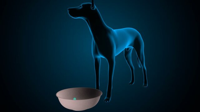 Dog salivation anatomy. 3d render