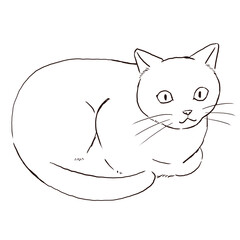 Simple Line Art Illustration of a Cat Sitting in a Loaf Position