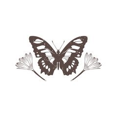Butterfly vector icon