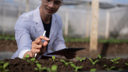 A scientist in a greenhouse examining soil near young seedlings, showing research, analysis, and modern agriculture practices