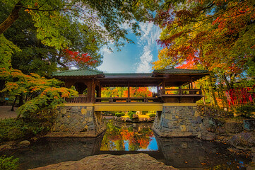 日本の田舎の山間では秋になると紅葉が色づきます