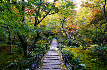 Obraz premium 京都、宝筐院の庭園