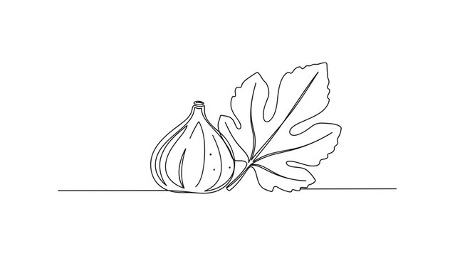 Minimalist fig and leaf in one continuous line art drawing