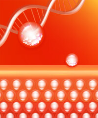 Hyaluronic acid and Niacinamide hair and skin solutions ad, red collagen serum drops into skin cell with cosmetic advertising background ready to use, illustration vector.