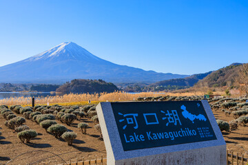 大石公園から見る新年の富士山と青空