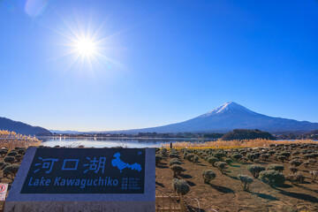 大石公園から見る新年の富士山と青空