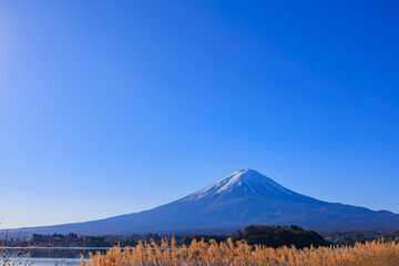 大石公園から見る新年の富士山と青空