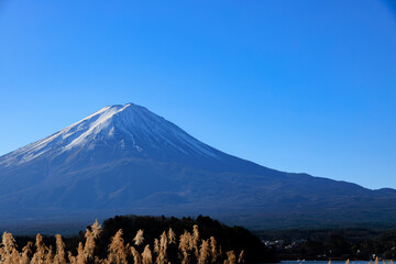 大石公園から見る新年の富士山と青空