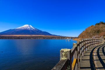 山中湖親水公園から見えた冬の青空と富士山